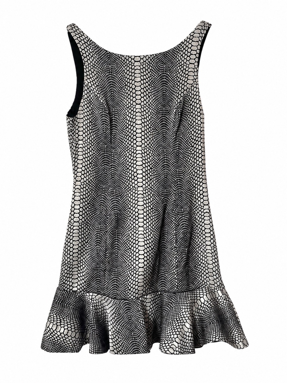 Ladakh Black and Silver Snake-Print Mini Dress with Front Zip